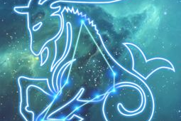 网红我是摩羯,揭秘网红“我是摩羯”的独特风采