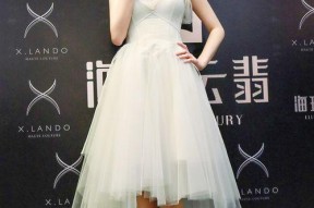 石安妮图片,光影交织下的魅力演绎