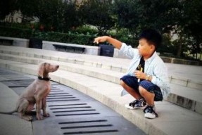 优优生活照,捕捉日常美好时光