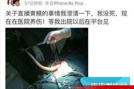 女主播黄鳝门人肉,网络暴力与隐私的边界